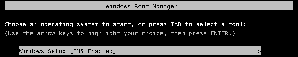 Windows Server 2008 EMS Boot